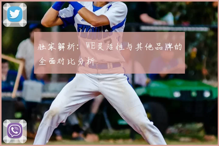 独家解析：WE灵活性与其他品牌的全面对比分析