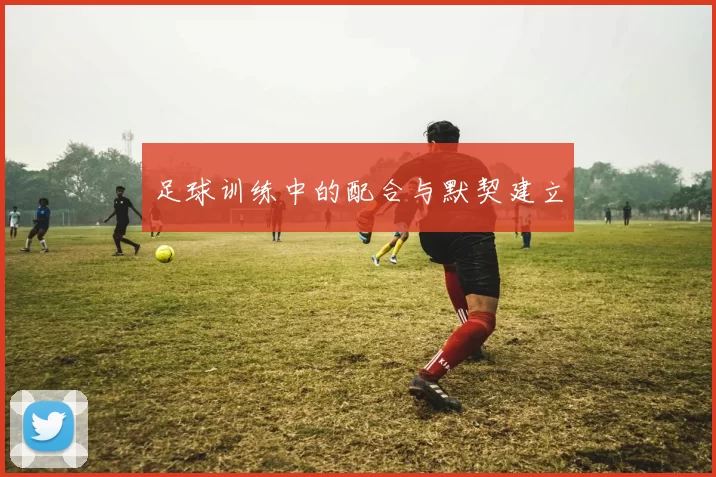 足球训练中的配合与默契建立