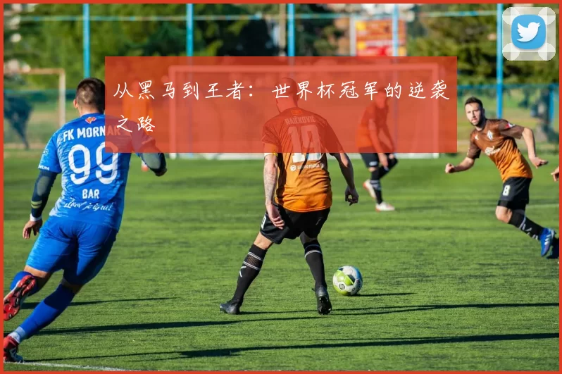 从黑马到王者：世界杯冠军的逆袭之路