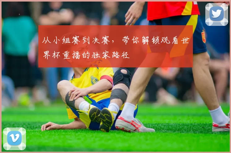 从小组赛到决赛，带你解锁观看世界杯重播的独家路径