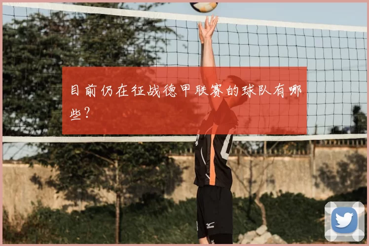 目前仍在征战德甲联赛的球队有哪些?