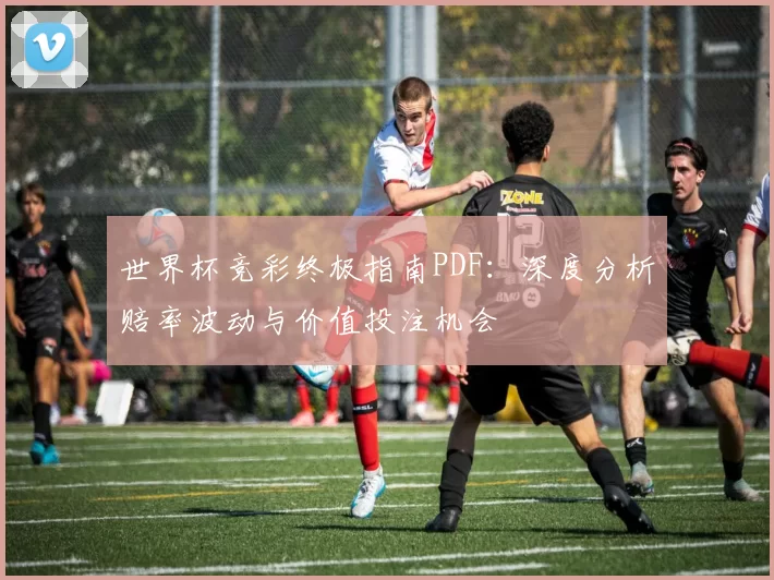 世界杯竞彩终极指南PDF：深度分析赔率波动与价值投注机会