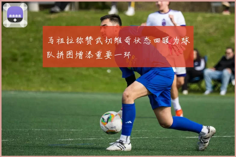 马祖拉称赞武切维奇状态回暖为球队拼图增添重要一环