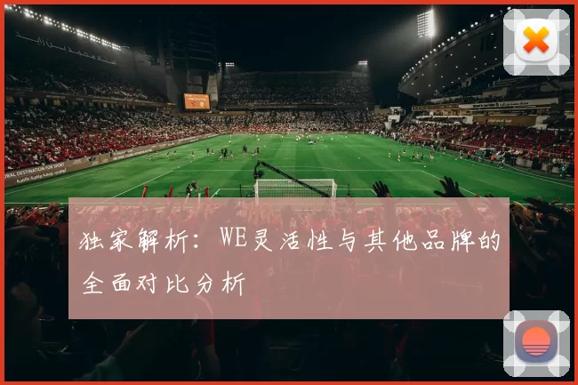 独家解析：WE灵活性与其他品牌的全面对比分析