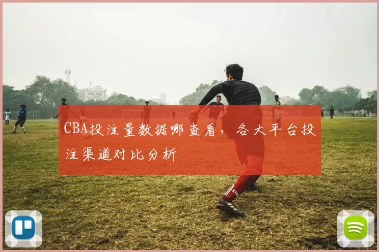 CBA投注量数据哪查看，各大平台投注渠道对比分析