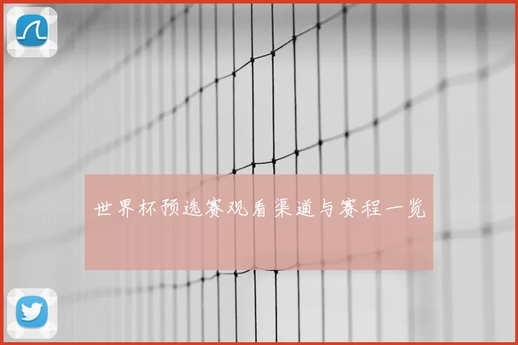 世界杯预选赛观看渠道与赛程一览