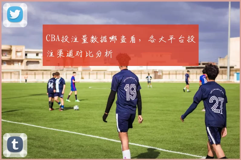 CBA投注量数据哪查看，各大平台投注渠道对比分析