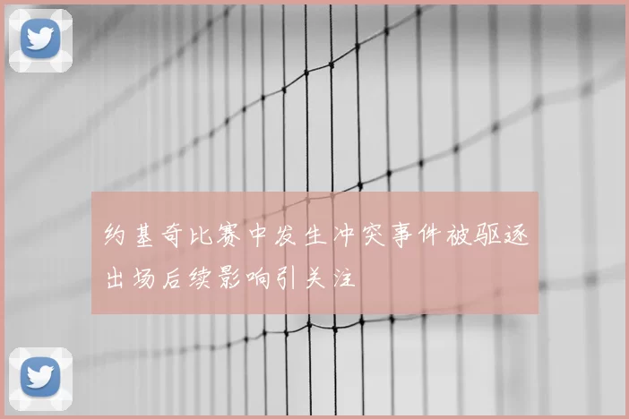 约基奇比赛中发生冲突事件被驱逐出场后续影响引关注