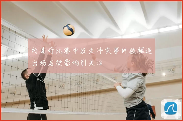 约基奇比赛中发生冲突事件被驱逐出场后续影响引关注