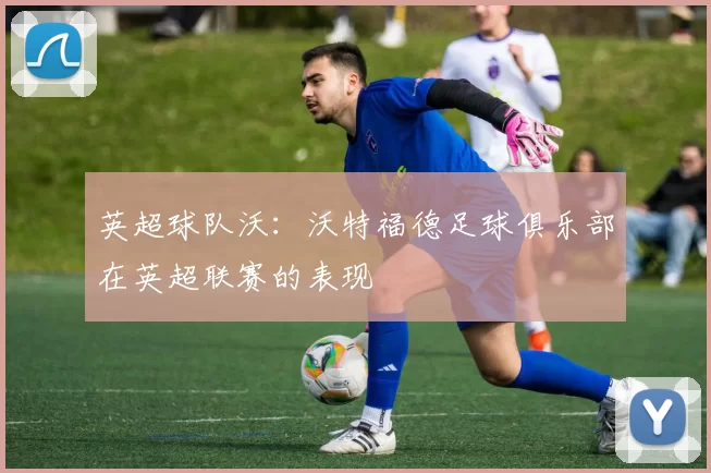 英超球队沃：沃特福德足球俱乐部在英超联赛的表现