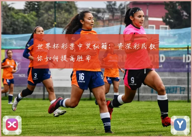 世界杯彩票中奖秘籍：资深彩民教你如何提高胜率
