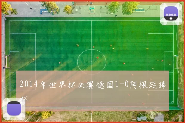 2014年世界杯决赛德国1-0阿根廷捧杯