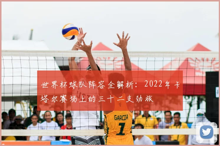 世界杯球队阵容全解析：2022年卡塔尔赛场上的三十二支劲旅